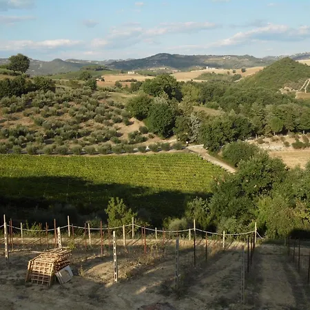 Podere Caldaruccio La Pineta - Tenuta 26 People