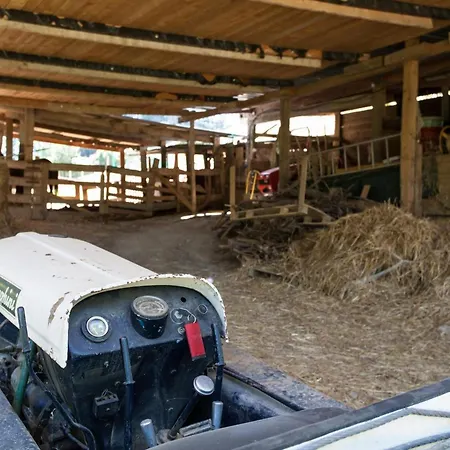 Podere Caldaruccio La Pineta - Tenuta 26 People Ramazzano - Le Pulci