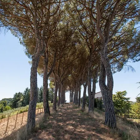 Podere Caldaruccio La Pineta - Tenuta 26 People