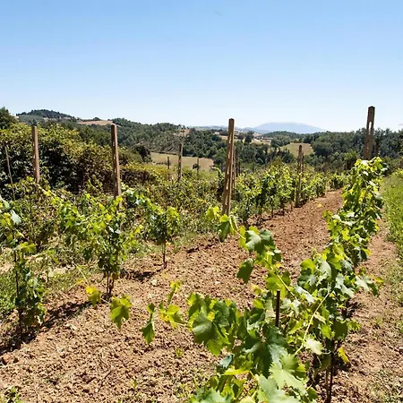 Podere Caldaruccio La Pineta - Tenuta 26 People * Ramazzano - Le Pulci